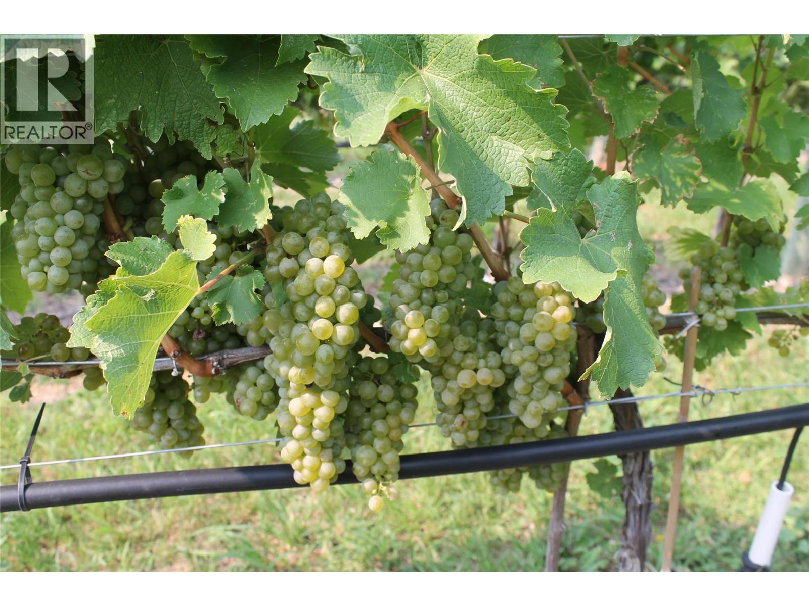  7361 Tucelnuit Drive, Oliver