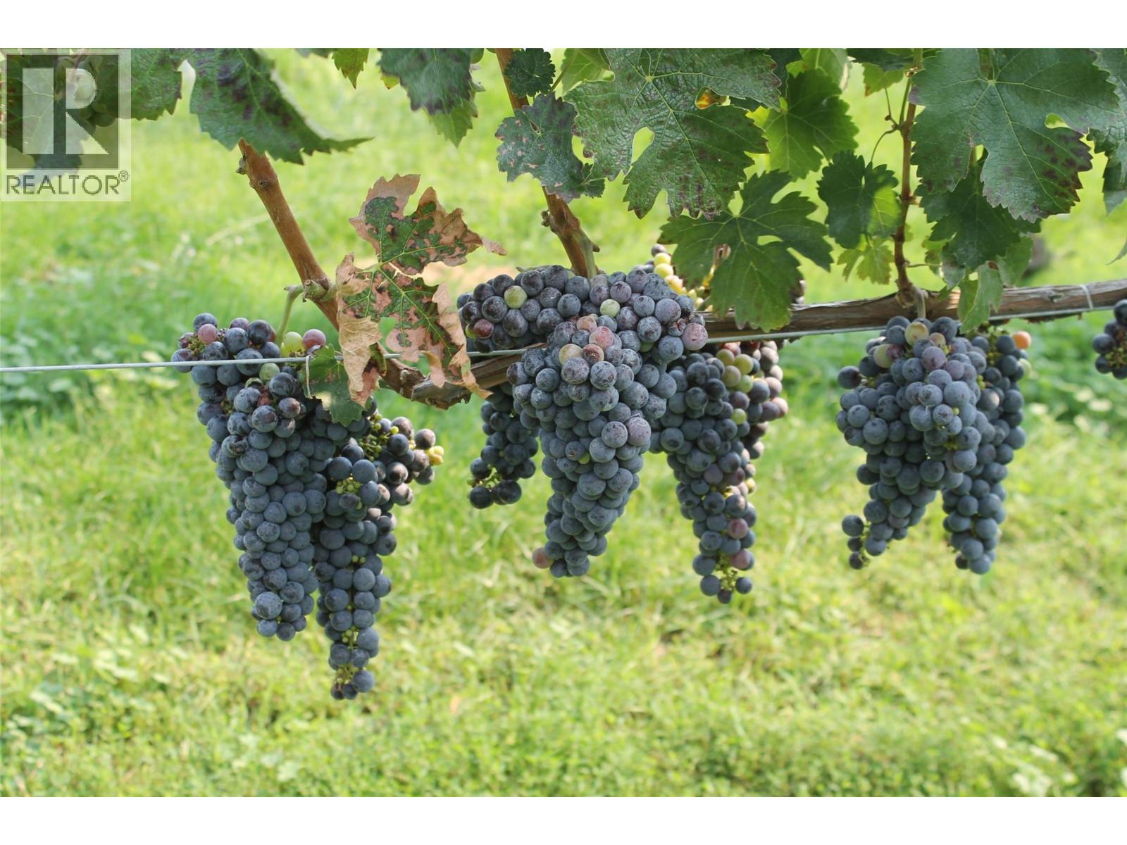  7361 Tucelnuit Drive, Oliver