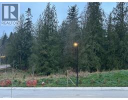 11030 241a Street, Maple Ridge, BC V2W0K5 Photo 36