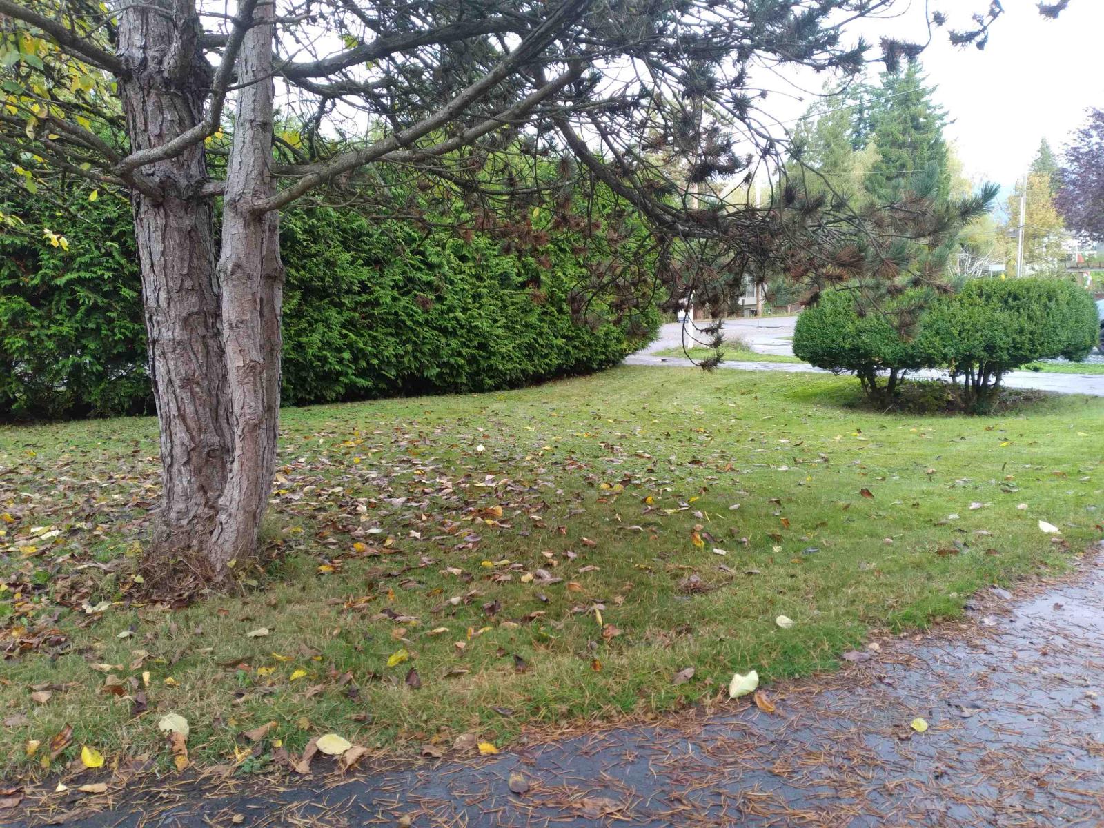 19850 48 AVENUE, Langley