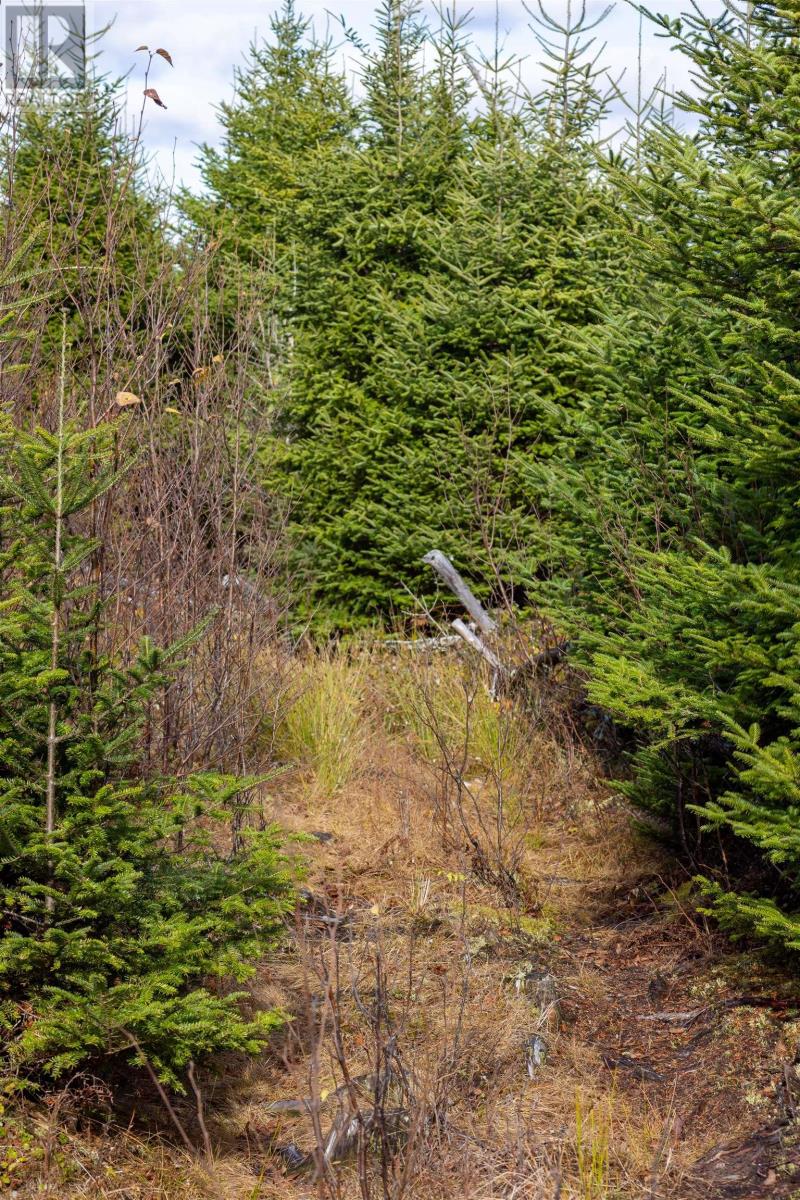 Property 12 of 49 of Acreage Sonora Road