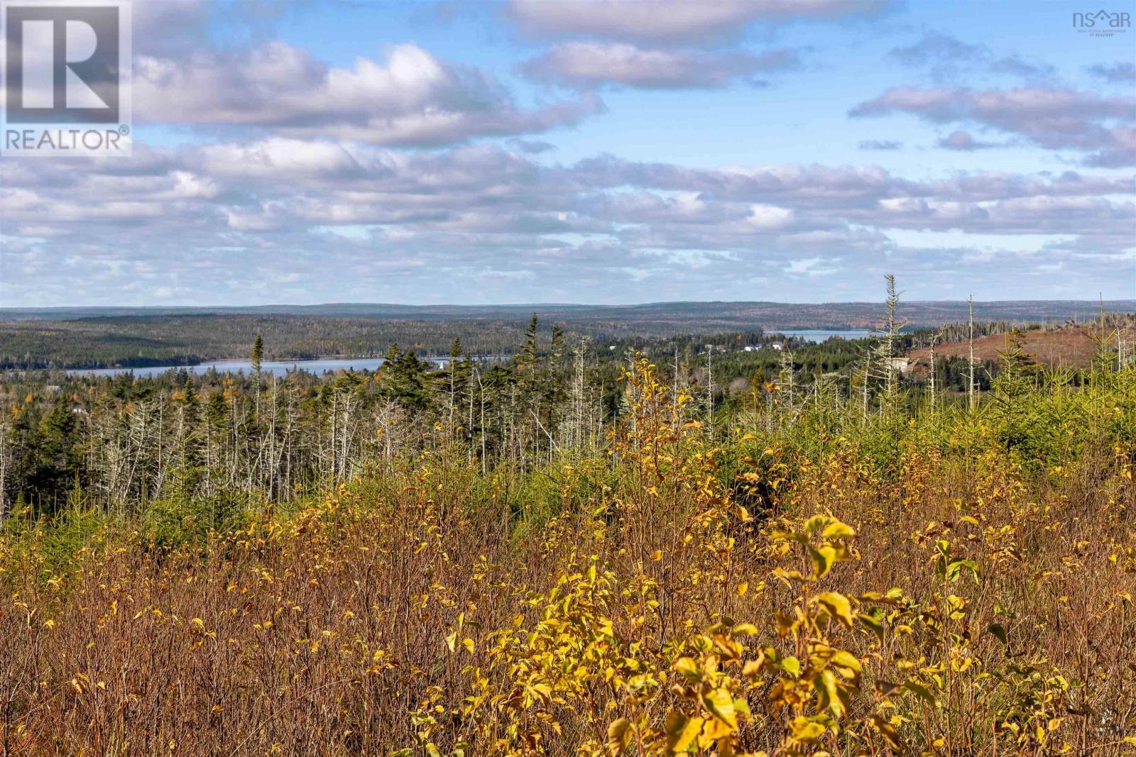 Property 4 of 49 of Acreage Sonora Road