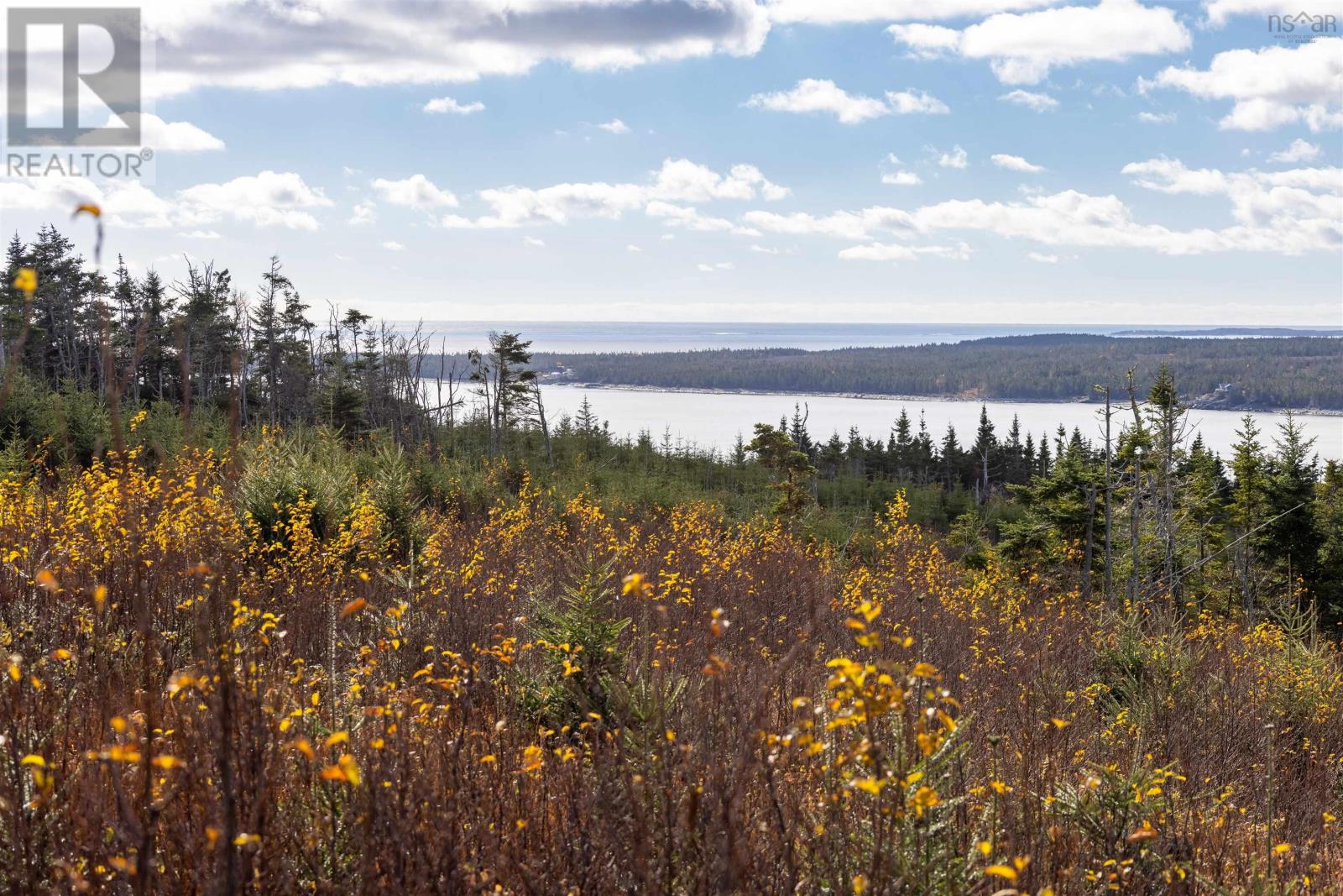 Property 9 of 49 of Acreage Sonora Road
