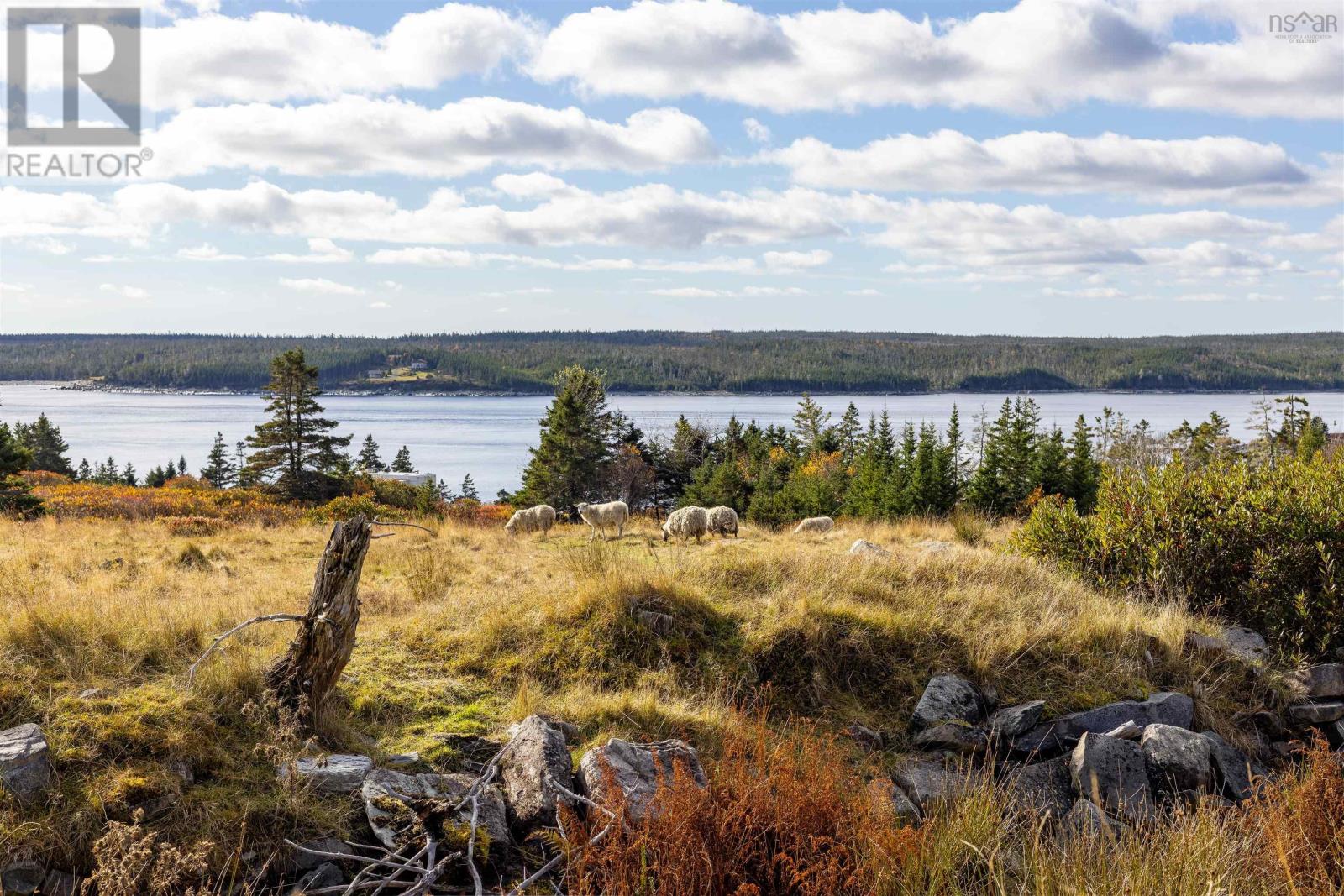 Property 29 of 49 of Acreage Sonora Road