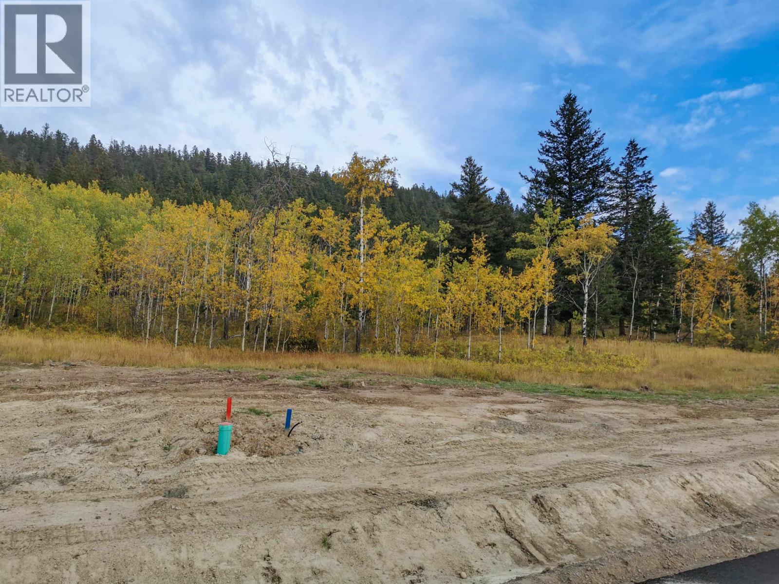 280 BLACKSTOCK ROAD, 100 Mile House