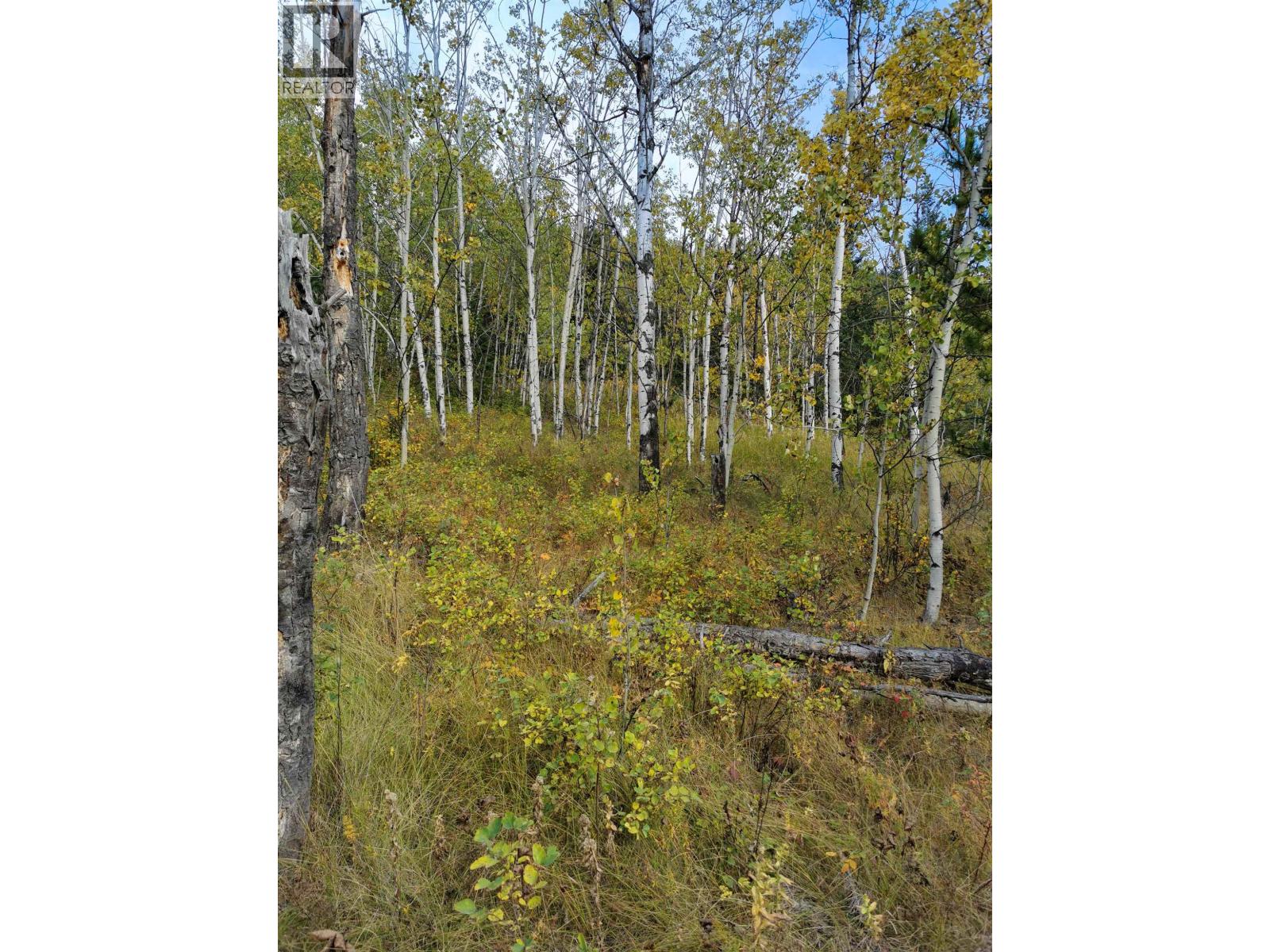 280 BLACKSTOCK ROAD, 100 Mile House