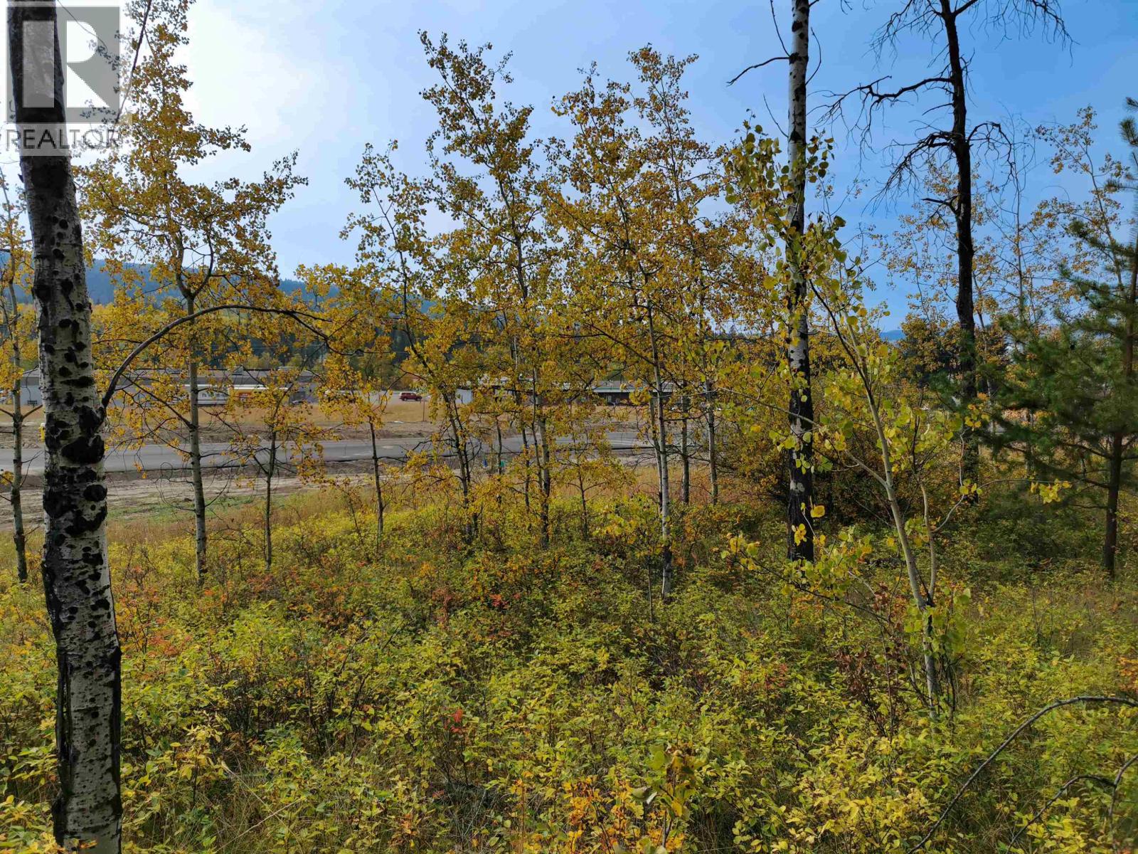 280 BLACKSTOCK ROAD, 100 Mile House