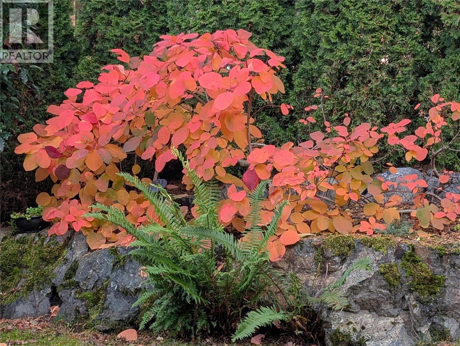  935 Lodge Avenue, Saanich