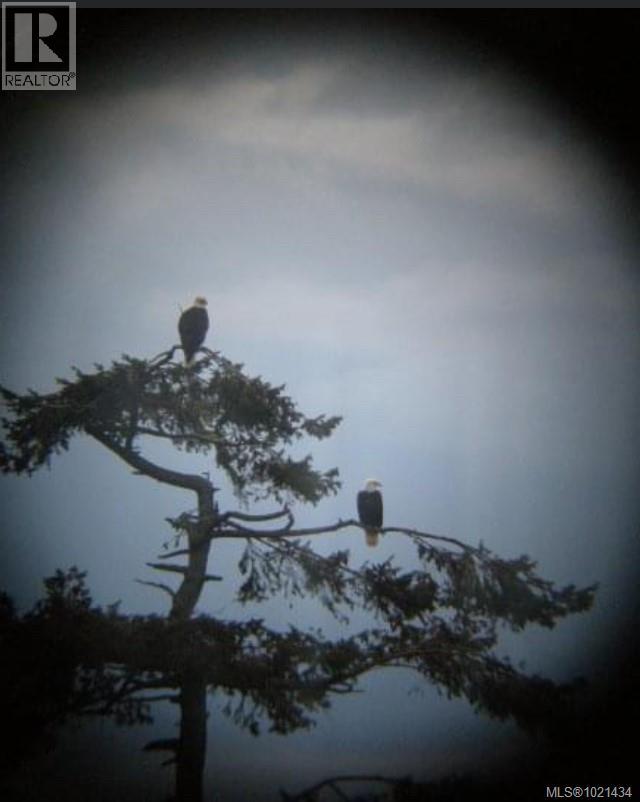 777 Mine Rd, Lasqueti Island