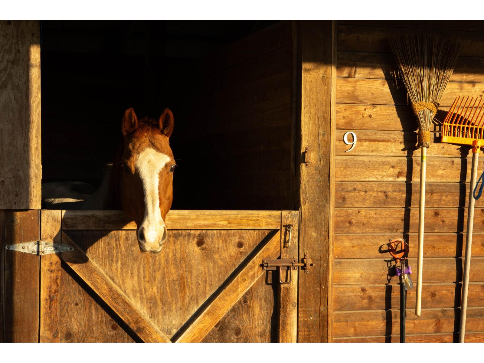 8575 240 STREET, Langley