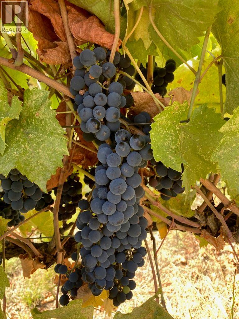 Panaroma Drive Lot# Lot B, Grand Forks