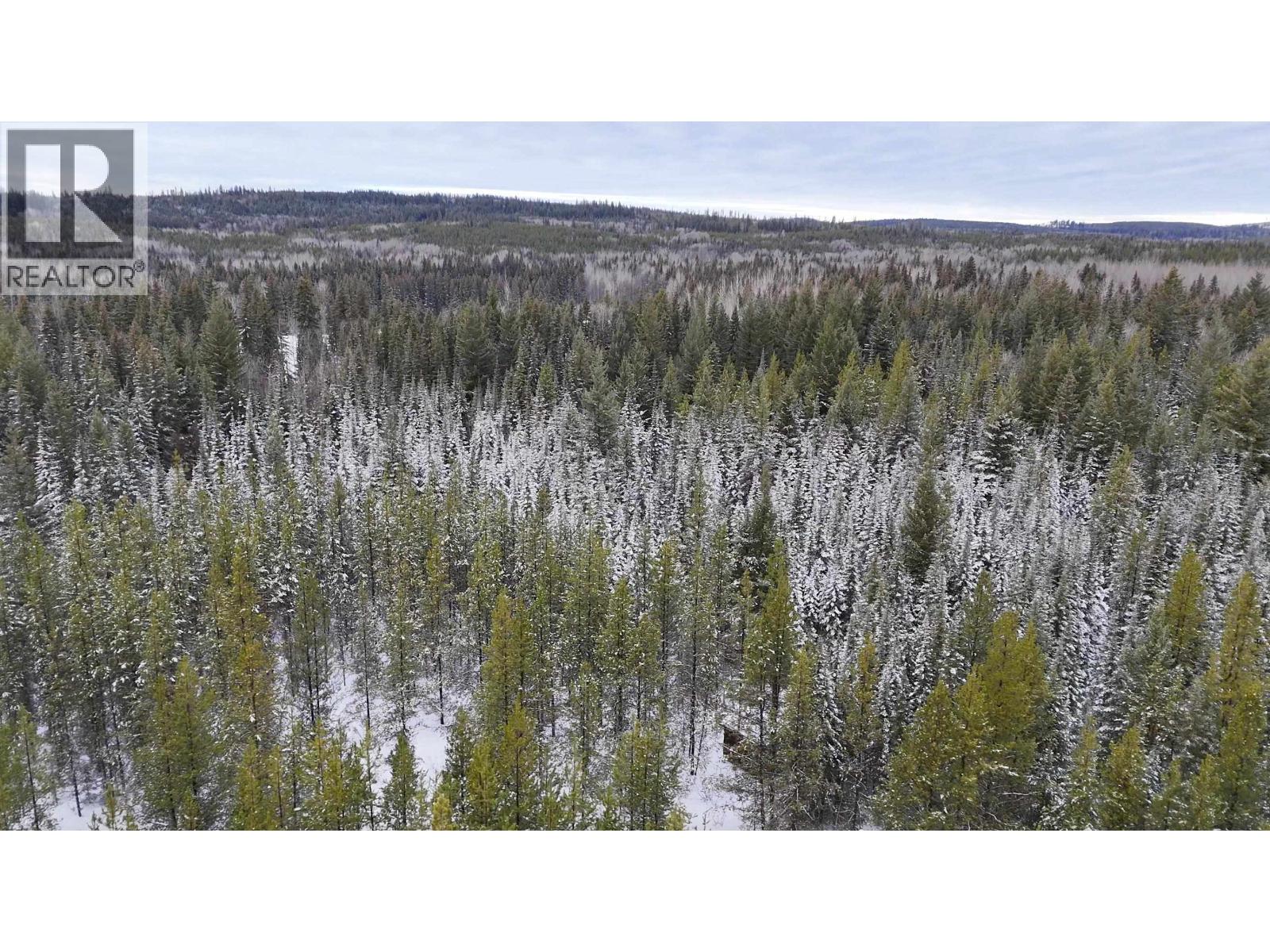 DL 5559 S MCBRIDE TIMBER ROAD, Prince George