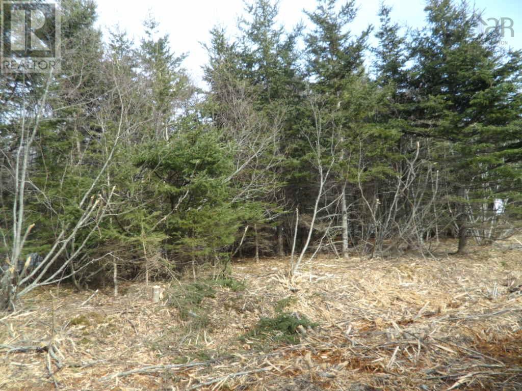 Property 9 of 14 of 2N Highway 224