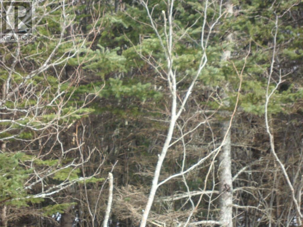 Property 4 of 14 of 2N Highway 224