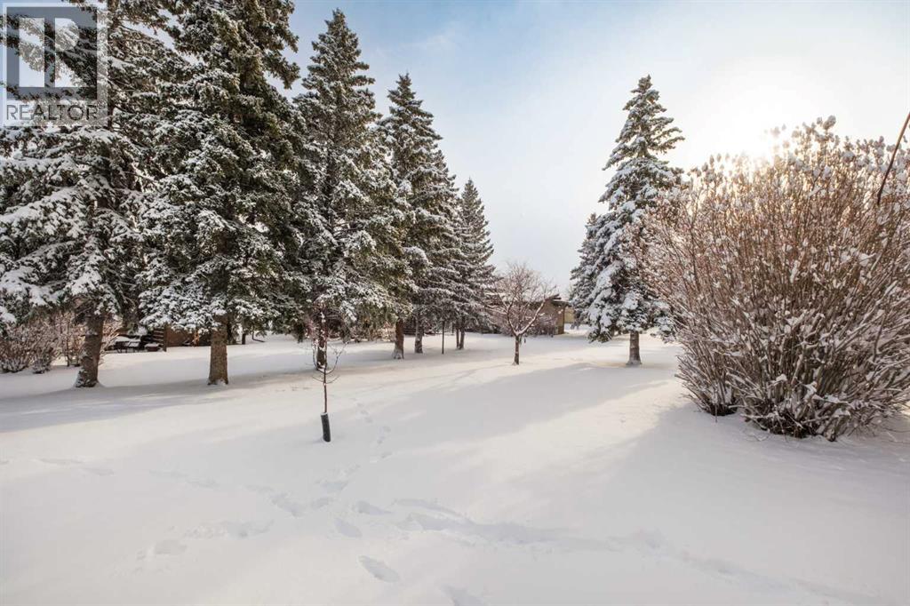 Single Family House Bi-level for Sale in  Rundlewood Lane NE Rundle Calgary 