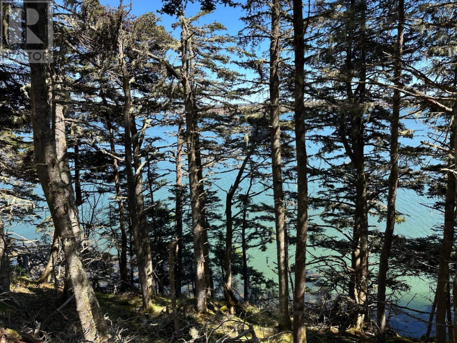 Property 36 of 38 of 1415 Highway 304