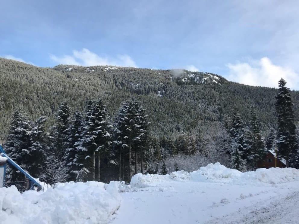 20498 EDELWEISS DRIVE, Mission