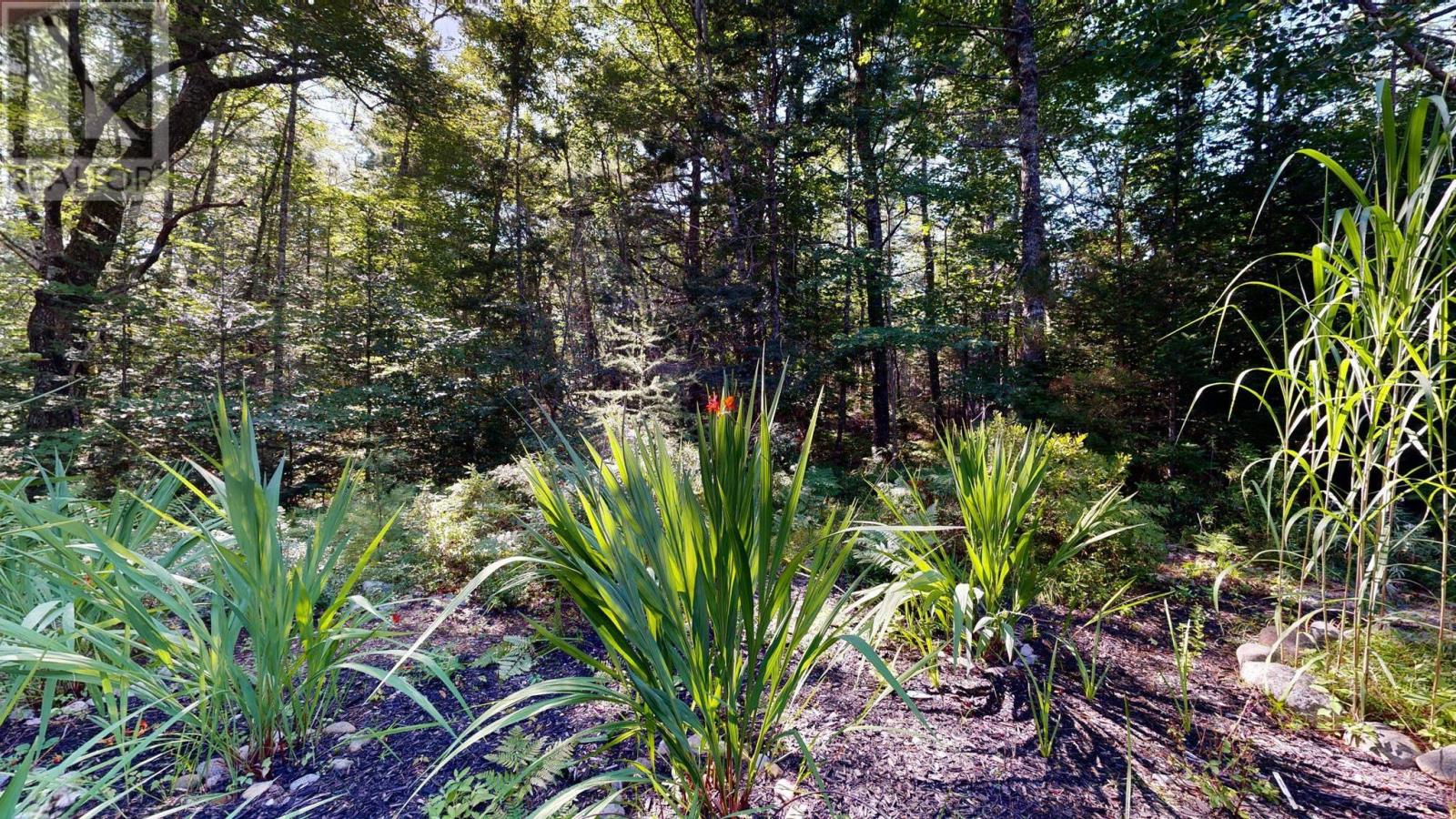 Property 17 of 49 of 809 Highway 203