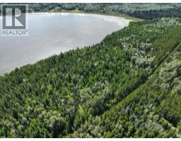 Photo 10 of 29, LOT 4 CHIEF LAKE ROAD · Prince George, BC