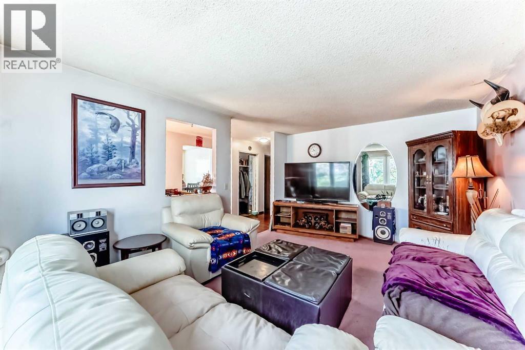 Single Family House Bi-level for Sale in  Castlebrook Rise NE Castleridge Calgary 