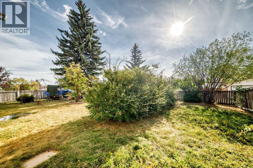 Single Family House Bi-level for Sale in  Castlebrook Rise NE Castleridge Calgary 