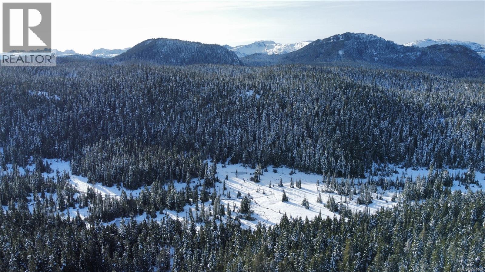 665 ARROWSMITH RIDGE - 18