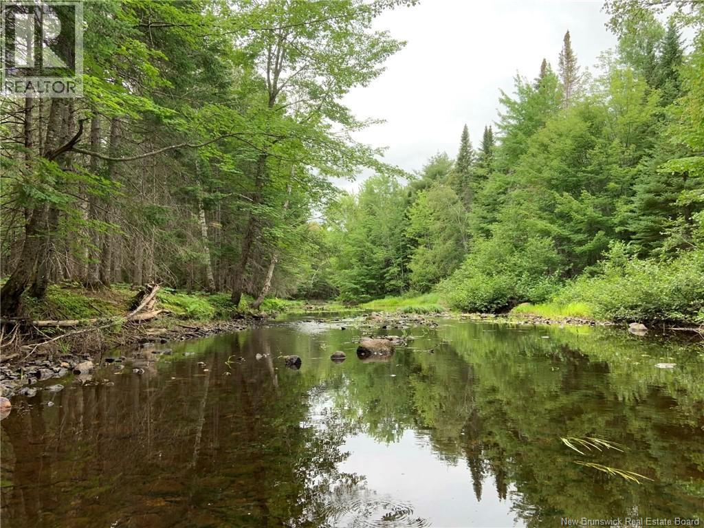 11.2 Acres South Black River