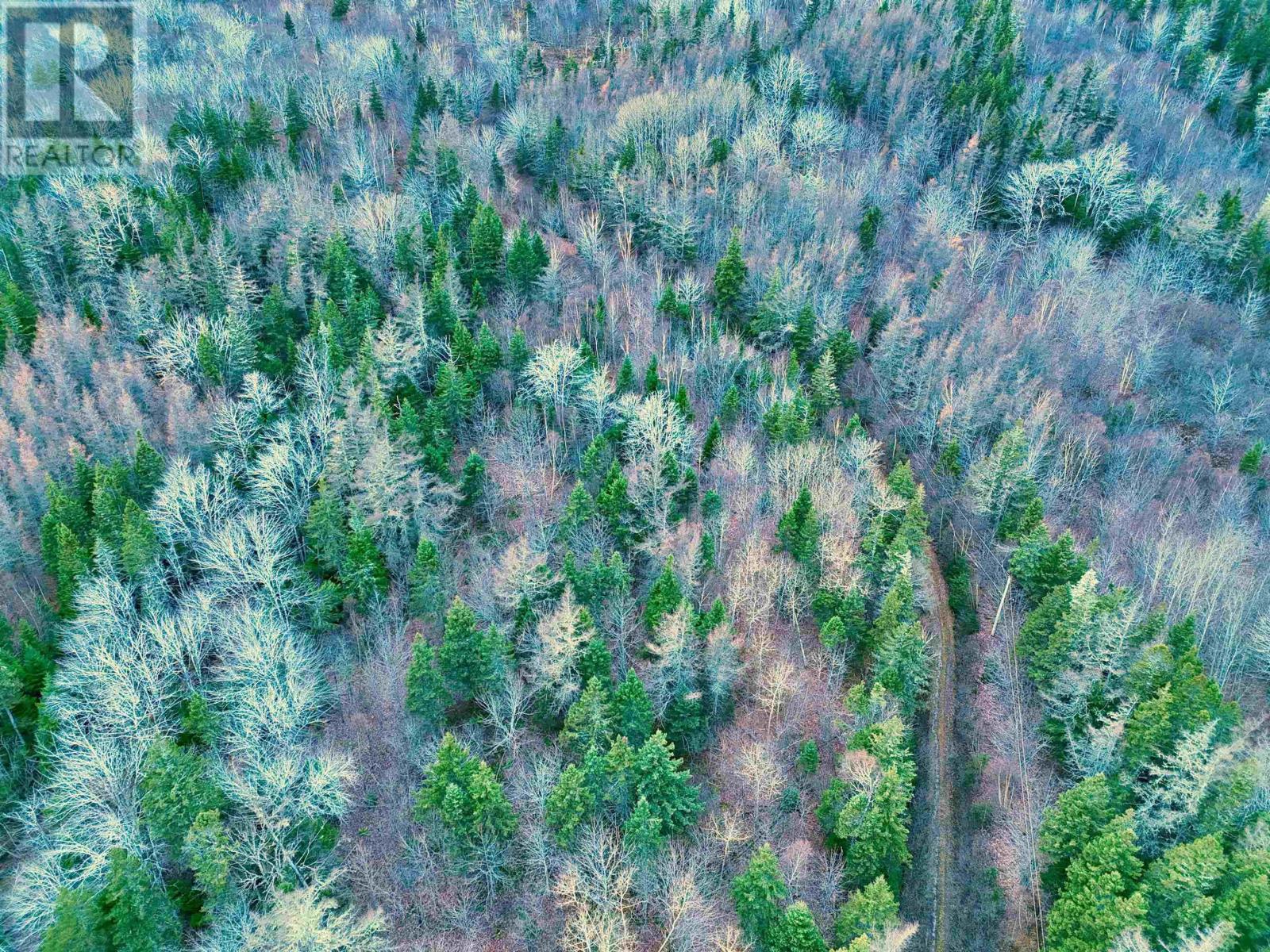 Property 6 of 7 of MacEachern Road