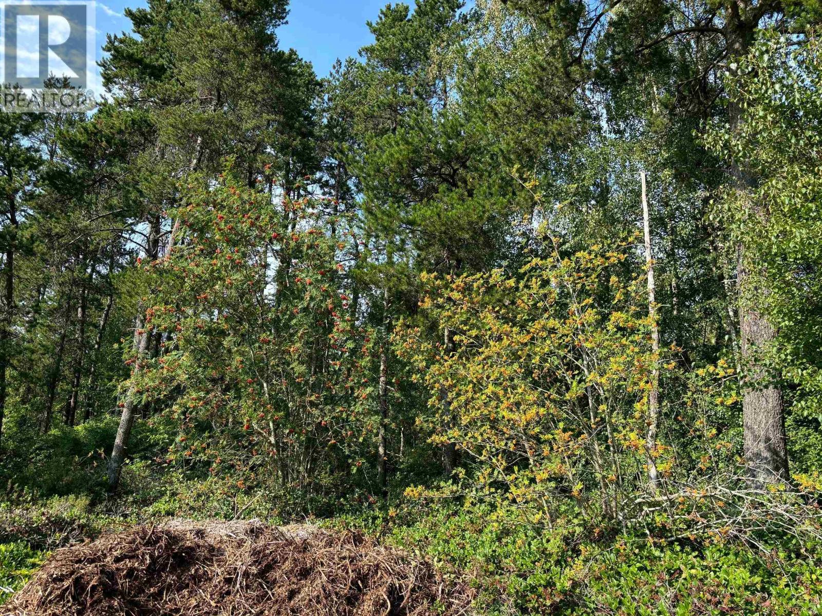 LOT 25 BLUNDELL ROAD, Richmond