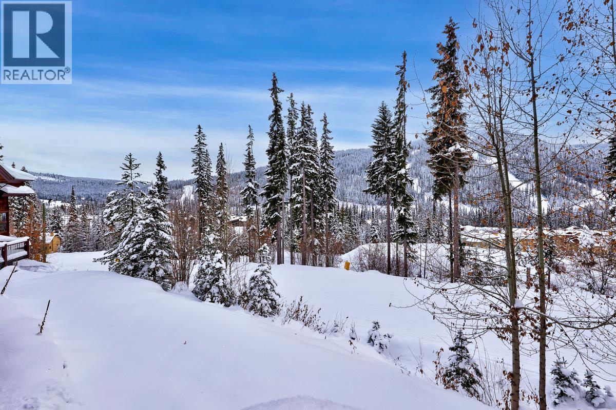 4119 SUNDANCE DRIVE - 36