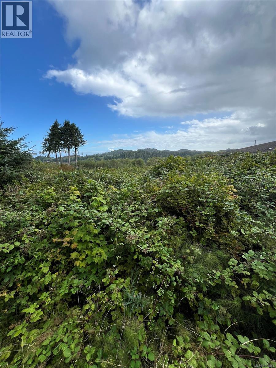 6350 Hardy Bay Rd, Port Hardy