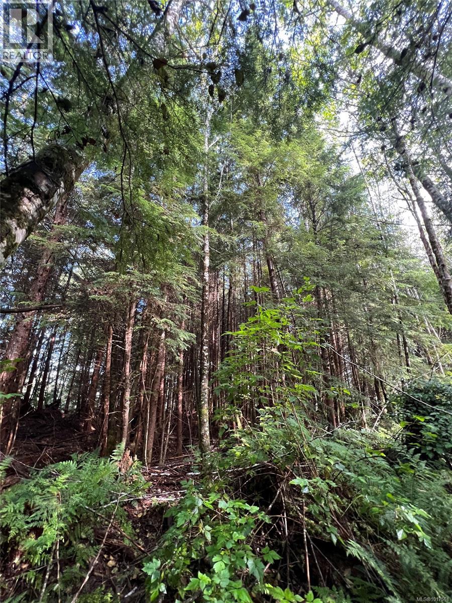 6350 Hardy Bay Rd, Port Hardy