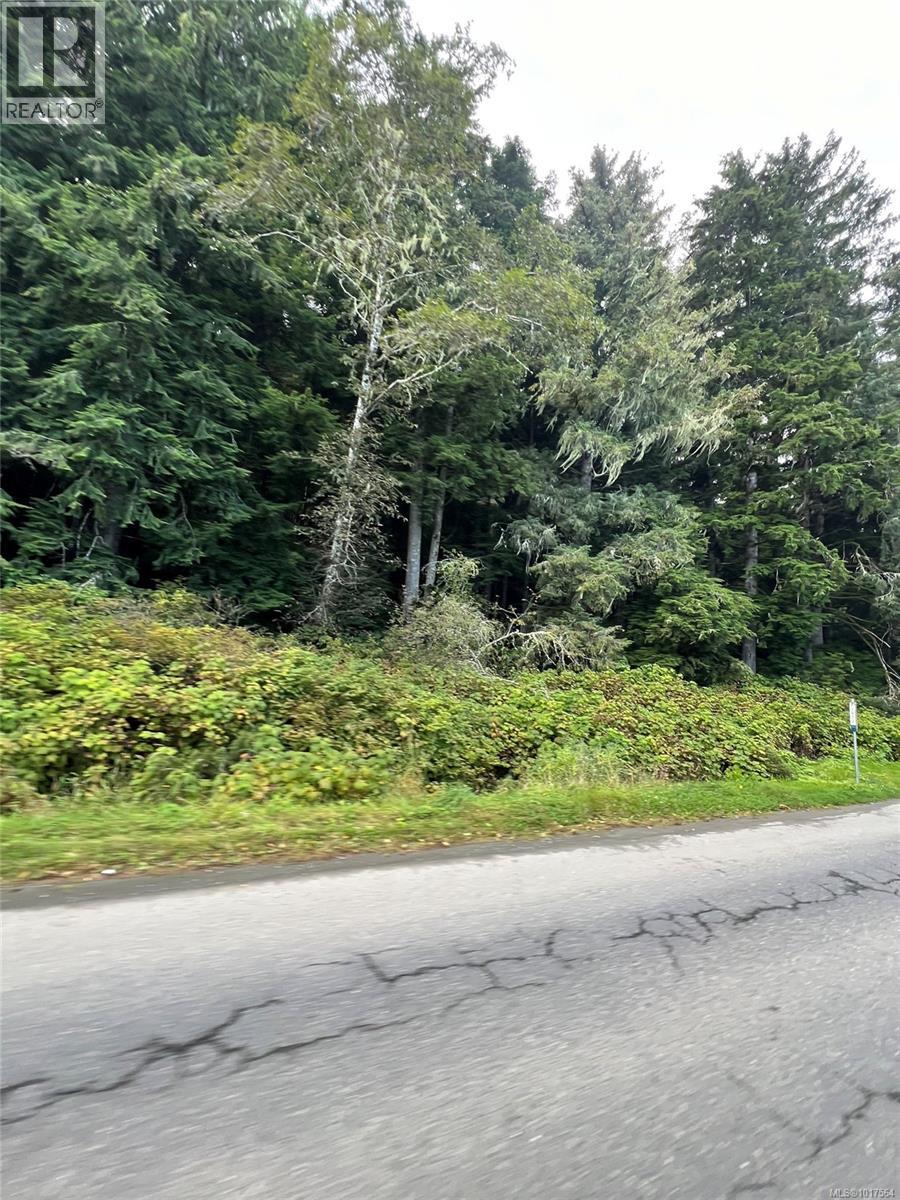 6350 Hardy Bay Rd - Photo 5 of 17, Port Hardy, British Columbia