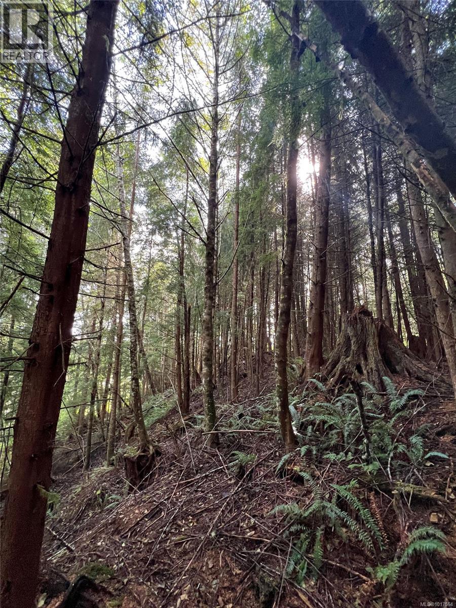 6350 Hardy Bay Rd, Port Hardy