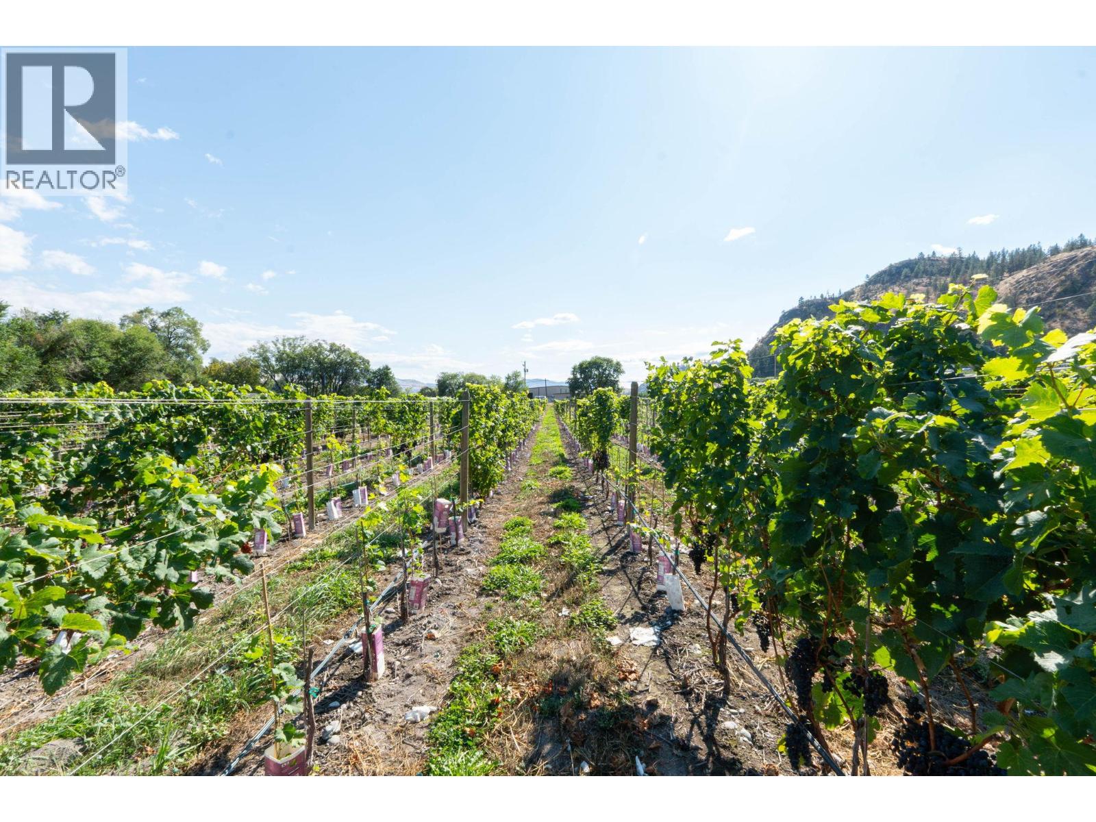  7337 Highway 97 Other, Oliver