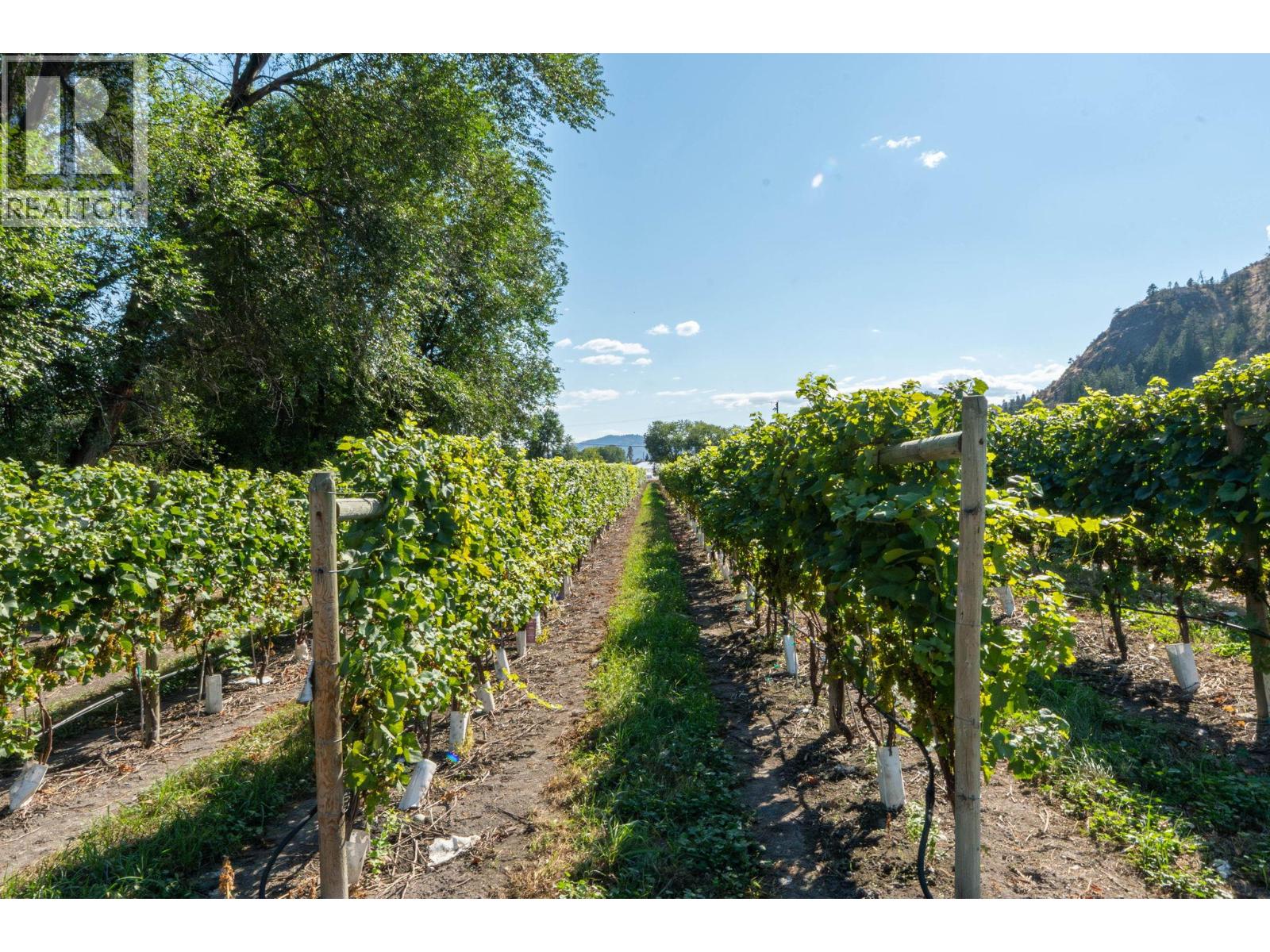  7337 Highway 97 Other, Oliver