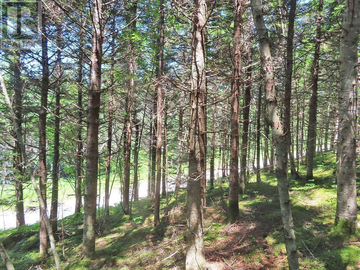 Property 16 of 44 of Lot 3 Upper Grand Mira Road