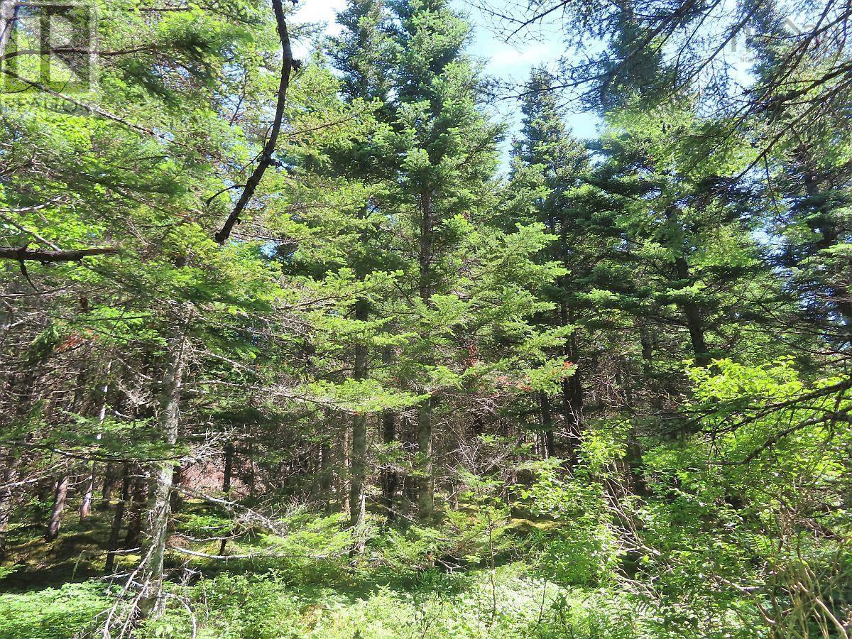 Property 21 of 44 of Lot 3 Upper Grand Mira Road