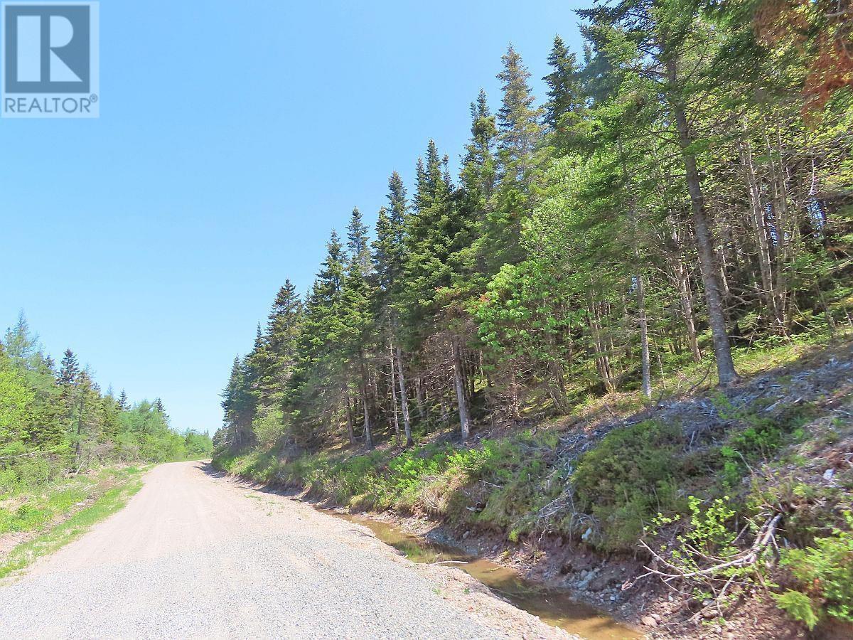 Property 15 of 44 of Lot 3 Upper Grand Mira Road