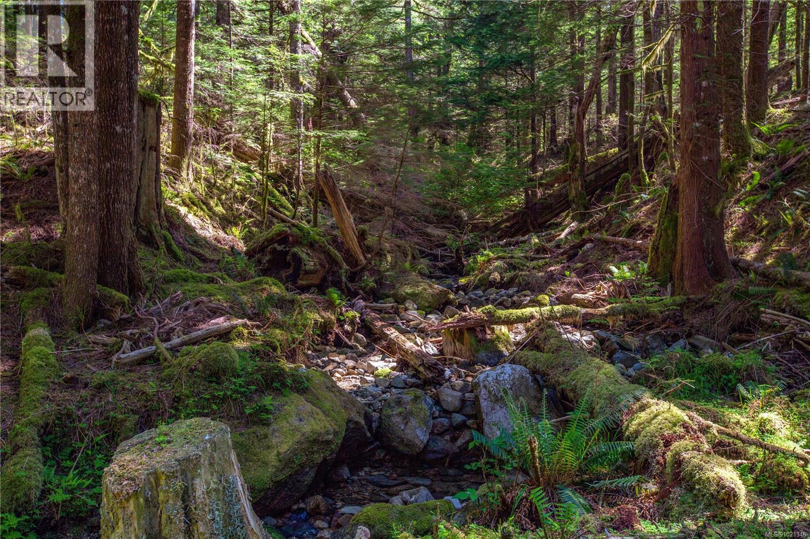 1 Stuart Island, Stuart Island