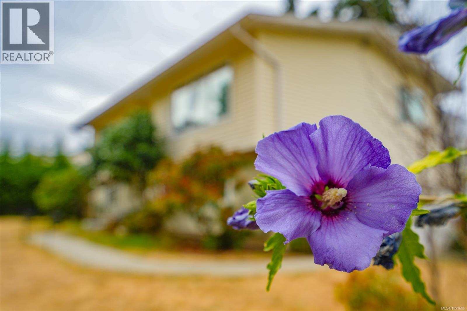 4594 Alwyn St, Port Alberni