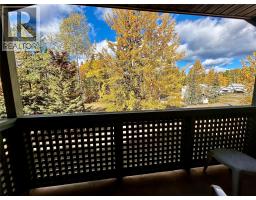 185 Chamberlain Crescent Unit# 313, Tumbler Ridge, BC V0C2W0 Photo 9