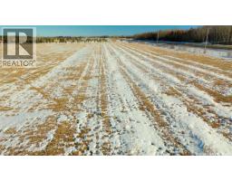 10.7 Acre Prime Highway Frontage East Of Nipawin, Nipawin Rm No  487, SK S0E1E0 Photo 22