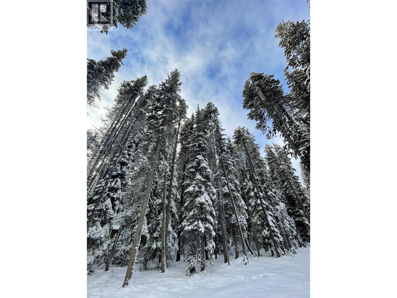 1166 APEX MOUNTAIN Road, Penticton