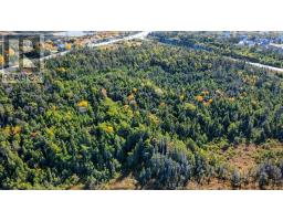 1061 Torbay Road thumbnail 12