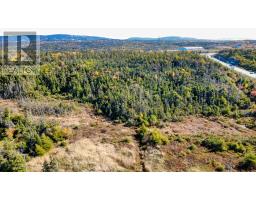 1061 Torbay Road thumbnail 18
