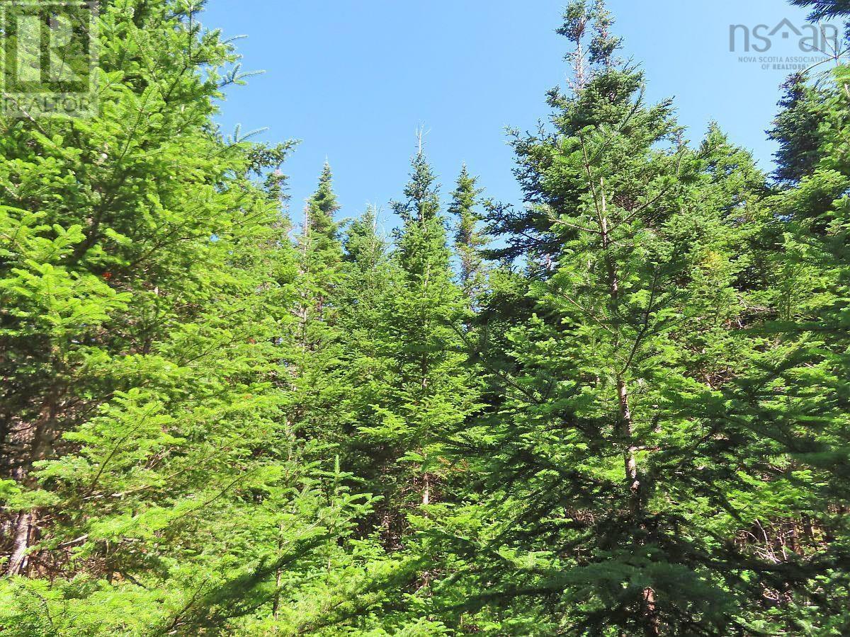 Property 13 of 49 of 118 Acres Loch Lomond Road