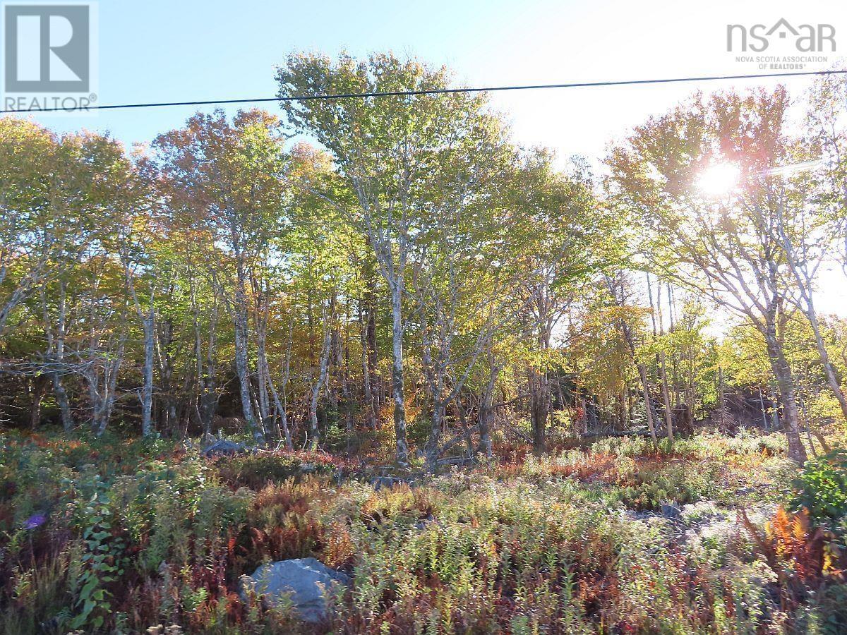 Property 30 of 49 of 118 Acres Loch Lomond Road