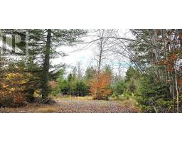Lot 24 Russells Cove Road, Parkdale, NS B0R1A0 Photo 20