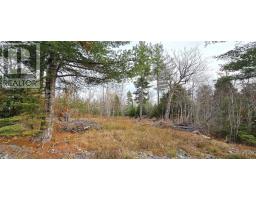 Lot 24 Russells Cove Road, Parkdale, NS B0R1A0 Photo 24